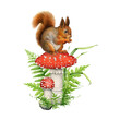 Cute squirrel sitting on the mushroom. Watercolor illustration. Hand painted funny fluffy forest animal. Red squirrel on the mushroom wildlife nature scene. Cute natural decoration. White background