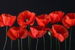 Symbolic red poppies on dark background, a symbol for remembrance day, armistice day, and anzac day