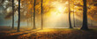 Misty autumn forest in yellow orange sunset light. Sun rays shining though through forest trees