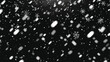 Overlay Falling shining snow isolated on the transper