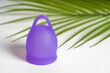 Purple Menstrual Cup with Tropical Plant Leaf: Eco-Friendly, Zero Waste