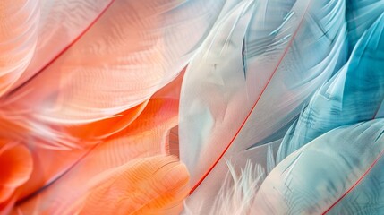 Soft pastel feathers form a breathtaking abstract background, their delicate colors and intricate patterns inviting you to lose yourself in their serene beauty