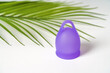 Violet Period Cup and Green Tropical Foliage: Sustainable, Waste-Free