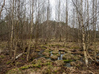 Poster - Landschaft