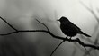 A dark bird sitting gracefully on a branch