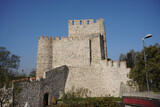 Fototapeta Na drzwi - Anadolu Hisari Castle in Istanbul, Turkiye