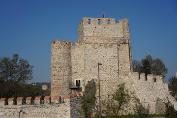 Wall Mural - Anadolu Hisari Castle in Istanbul, Turkiye