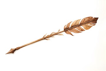 Wall Mural - feather of an old-fashioned arrow on a white background.