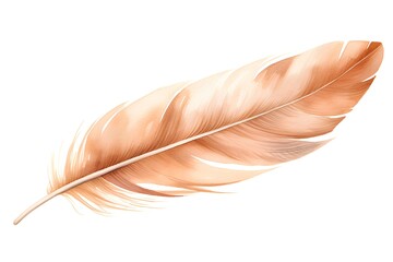 Wall Mural - feather of a bird on a white background. watercolor illustration