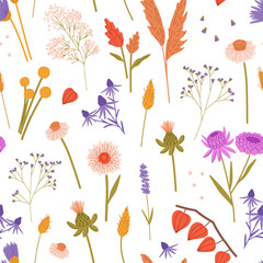 Wall Mural - Endless background with dry wildflowers: physalis, tansies, gypsophila. Different wild and garden bloom plants. Repeatable pattern of meadow flowers. Floral backdrop. Flat seamless vector illustration