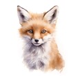 Watercolor portrait of a red fox, isolated on white background.