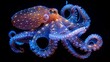 Neon glowing octopus, phantasmal iridescent hues, illuminated by psychic waves, isolated on black