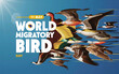 World Migratory Bird Day