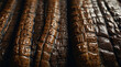 Close-up of crocodile skin - abstract organic texture background