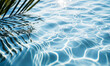 Tropical Tranquility: Palm Leaf Shadows Dance on Rippling Blue Waters, Beckoning Summer Escape