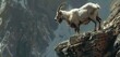 A stoic mountain goat navigates the rugged terrain of a steep cliffside with surefooted determination, its sturdy horns a symbol of resilience against the elements.