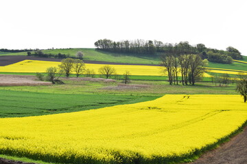 Sticker - swampland with yellow hills around