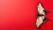 An elegant butterfly showcasing blue eye spots and yellow accents, set against a deep red background