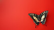 A bold butterfly with an elaborate black and yellow pattern on its wings prominently displayed on a red background
