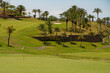 green golf course, holiday Golf course in the countryside