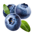 Blueberries on a transparent background