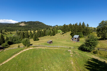 Wall Mural - The landscape of the Carpathian Mountains in Romania