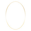Golden ellipse frame. Vector outline thin oval aesthetic geometric shine border for invitations design