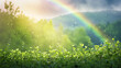 Juicy green leaves of plants in the rays of the sun on a rainbow background close-up