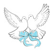 Two doves igeons in flight hold a blue ribbon bow. Wedding, invitation