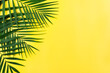 Vacation travel planning simple theme of palm leaves on uniform yellow background flat lay with copy-space