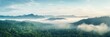 Scenic view of the misty horizon of a rainforest. Panoramic rainforest banner