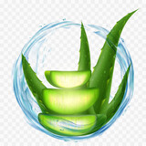 Fototapeta Łazienka - Aloe Vera plant with splashes of juice or water. isolated on a transparent background. Vector stock illustration