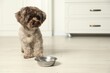 Cute Maltipoo dog near feeding bowl in kitchen, space for text. Lovely pet