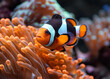 A stunning close-up shot of a colorful clown fish swimming in a coral reef ecosystem