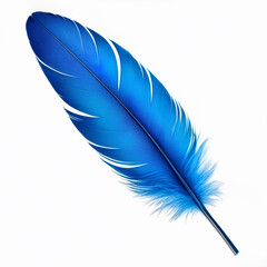 Wall Mural - Blue feather isolated on white background. Close-up of bird feather.