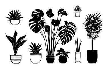 Wall Mural - A collection potted plants in various sizes and shapes. plants are all black and white, giving image minimalist and elegant feel. arrangement of plants creates a sense of balance