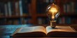 A Solitary Light Bulb Illuminating a Dense Textbook Representing Deep Learning and the Discovery of New Ideas