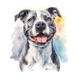 Pitbull dog watercolor good quality and good design