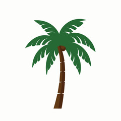 Wall Mural - palm tree isolated on white