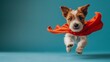 Toy dog in red cape, jumping with electric blue fawn