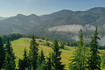 Wall Mural - Aerial view of beautiful landscape with misty forest and village in mountains