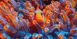 Orange Clownfish Nestled Amidst Vibrant Anemone Tentacles