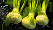 Three heads of fennel on a black wet surface.