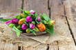 colorful tulips on wooden background - close up
