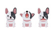 Set of vector cartoon character cute french bulldog for design.