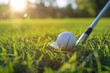 Fairway Moments: A Beautiful Blur of a Golf Ball A golf ball on the course's green
