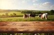 Empty wooden tabletop and blurred rural background of cows on green field and meadow with grass. Space for design your product.