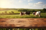 Fototapeta Tulipany - Empty wooden tabletop and blurred rural background of cows on green field and meadow with grass. Space for design your product.