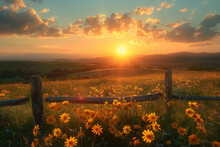  Sunrise Over A Peaceful Meadow With Bright Yellow Flowers And A Rustic Fence