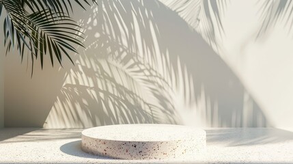 Leinwandbilder - The natural beauty podium backdrop with tropical palm tree shadows is textured with terrazzo. This is a 3D rendering scene.